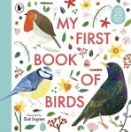 KNYGA Zo Ingram My First Book of Birds