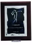 Plastikinis diplomas su graviruota metaline plok&scaron;tele