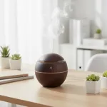 Sausintuvas Oro drėkintuvas FIT2 JF213 aromato difuzorius, USB, 300 ml