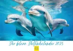 Edition Seidel Premium kalendorius, Mėlynojo delfino kalendorius, 2025 formatas, Din A4, sieninis kalendorius, gyvūnų kalendorius, delfinas, delfinai, žinduoliai, jūra, vandenynas