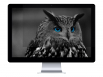 NATEC NFP-1478 Privacy Filter RODO