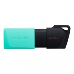 Kingston | USB Flash Drive | DataTraveler Exodia | 256 GB | USB 3.2 Gen 1 | Black/Teal | DTXM/256GB
