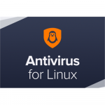 Avast Business Antivirus for Linux, New electronic licence, 2 year, volume 1-4, Price Per Licence | Avast | Business Antivirus for Linux | New electronic licence | 2 year(s) | License quantity 1-4 user(s) | STL.0.24M.1-4