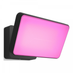 Philips Hue WCA Discover Outdoor Floodlight | 2000-6500 Hue White Colour Ambiance | 8718696170533
