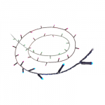 WiZ Smart WiFi LED Fairly Light, 20m | 15 W