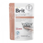 BRIT VD Renal Cat Pouch Box - drėgnas pa&scaron;aras katėms - 12x85g