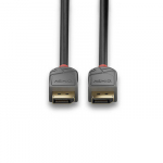 DisplayPort Kabelis - LINDY Anthra Line DisplayPort 1.4 Kabelis, M/M, 1 m, Juodas