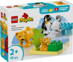 LEGO Duplo 10442 - Rodziny dzikich zwierząt: pingwiny i lwy