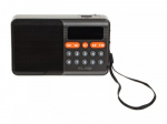 Portable analog AM/FM Bluetooth RA18