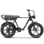 Elektrinis dviratis APE RYDER 20 A10 juodas