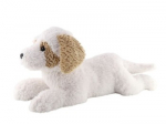 Havanesa Dog lying down 60 cm