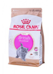 ROYAL CANIN British Shorthair Kitten - sausas kačių maistas - 400g