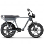 Elektrinis dviratis APE RYDER 20 A10 pilkas