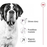 ROYAL CANIN Giant Adult - sausas maistas &scaron;unims - 15 kg