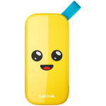 External SSD|SANDISK|1TB|USB 3.2|Read speed 800 MBytes/sec|SDSSDE30-1T00-G25F