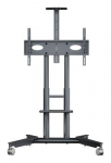 TV SET ACC MOBILE STAND/32-75"/GRAPHITE TS1571-G ONKRON