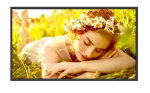 Monitor 32UL5Q-M 32 inches 24/7 500nit