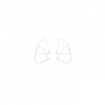 Dji Phantom P4 Part 62 Propeller Guard (propelerių apsauga)
