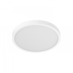 Smart Ceiling Light D40