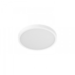Lamp Smart Ceiling Light D30