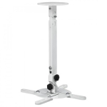 Universal projector mount
