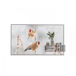 LG | Digital Signage | 55EW5P | 55 " | Landscape/Portrait | 18/7 | webOS | 8 ms | 178 &deg; | Transparent | 178 &deg; | 600 cd/m&sup2;