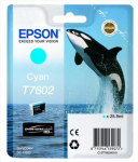 EPSON T7602 ink cartridge cyan high capacity 25 9ml 2196 pages 1-pack