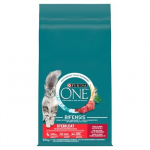 PURINA One Sterilcat Wołowina - sausas kačių maistas - 9,75kg