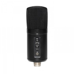Stagg SUSM60D - USB kondensatorinis mikrofonas