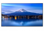 MultiSync P556 Large Format Monitor - 55-inch UHD, 700 cd/m2, 24/7 Operation