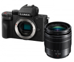 Panasonic Lumix DC-G100D + LUMIX G VARIO 12-60mm f/3.5-5.6 Asph. (Black)