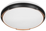 Activejet LED lubinis &scaron;viestuvas AJE-PETRUS 24W