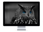 NATEC NFP-1478 Privacy Filter RODO OWL 24inch 16:9