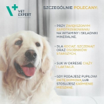 VETEXPERT Multivitamin - vitaminų ir mineralų preparatas &scaron;unims ir katėms - 30 kapsulių.