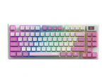 MSI FORGE GK600 TKL WIRELESS VIOLET | Gaming keyboard | Wireless | US | Mechanical Linear