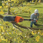 18 V, 20 cm belaidis &scaron;akų pjūklas &bdquo;Black and Decker&ldquo; GPC1820L20-QW 3,7 kg