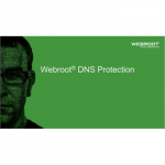 Webroot | DNS Protection with GSM Console | 2 year(s) | License quantity 1-9 user(s)