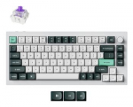 KEYBOARD WRL Q1 HE RGB/SHELL WHITE Q1H-P1 KEYCHRON
