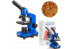 Mikroskopas &bdquo;Delta Optical BioLight 100&ldquo; (mėlynas)