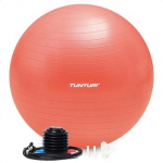 Tunturi Gymball Anti Burst Mank&scaron;tos kamuolys su pompa 75cm, Rožinio aukso spalva