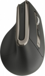 Dual 2.4GGz/BT5.0/BT3.0 battery vertical wireless mouse
