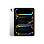 iPad Pro 11" M5 Wi-Fi 2TB with standard glass - Silver