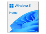 Microsoft Windows HOME 11 64-bit All Languages Online Product Key License 1 License Downloadable ESD