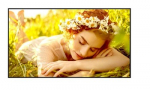 Monitor 65UL5Q-M 500cd/m2 UHD 24/7