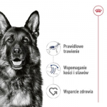 ROYAL CANIN Maxi Loaf - drėgnas ėdalas &scaron;unims - 410g