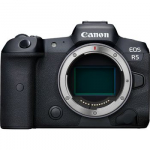 Canon EOS R5 + RF 24-240mm f/4-6.3 IS USM + Mount Adapter EF-EOS R