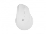 NATEC Crake 2 kompiuterio pelė Universalus De&scaron;inės rankos RD belaidis ry&scaron;ys + &bdquo;Bluetooth&ldquo; Optinis 2400 DPI