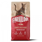 CARNILOVE Active Cat Lamb and Wild Boar Sterilised - sausas pa&scaron;aras katėms - 2kg