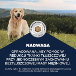 EUKANUBA Special Care Overweight Adult All Breed &ndash; sausas pa&scaron;aras &scaron;uniui &ndash; 12kg