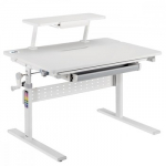 Children ergonimic desk Ergo Office ER-483